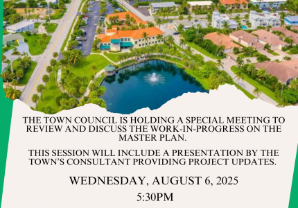 Special Town Council Meeting: Work-in-Progress on the Master Plan Flyer