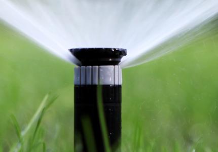 Sprinkler