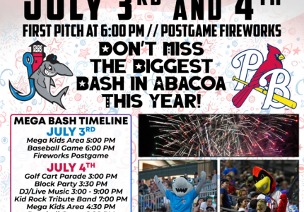 Mega Bash Flyer
