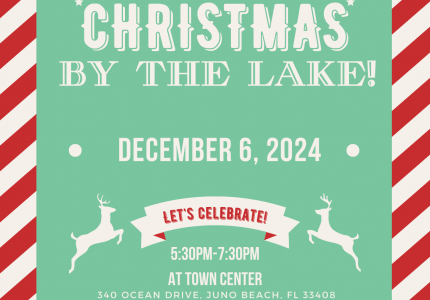 Christmas by the Lake Flyer