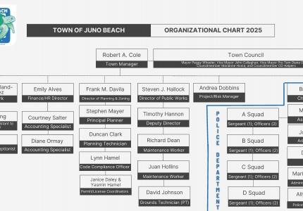 2025 Town Organizational Chart