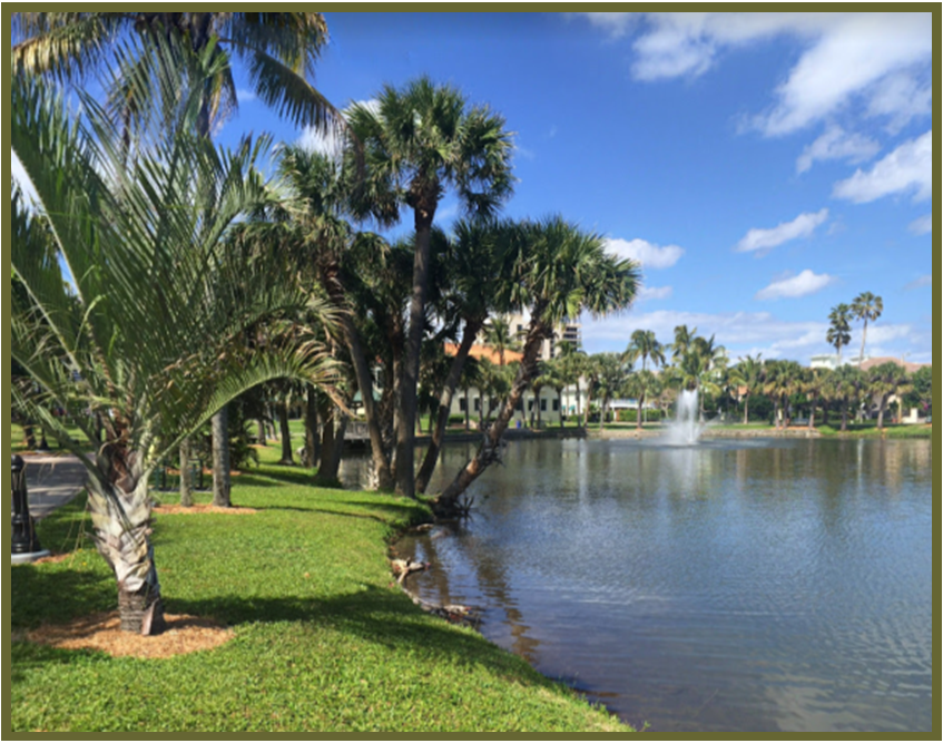 Guide to Effective Fertilizing in Juno Beach Town of Juno Beach, Florida